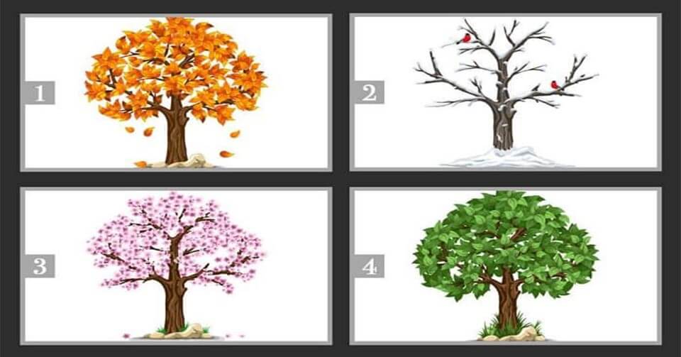 “봄 여름 가을 겨울 나무 중 뭐가 제일 맘에 드시나요? 선택한 나무는 당신이 가진 ‘재능’을 보여줍니다